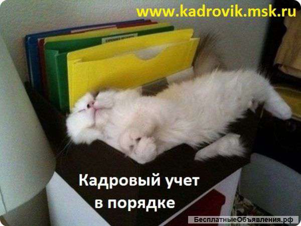 Постановка кадрового учета, разработка документов