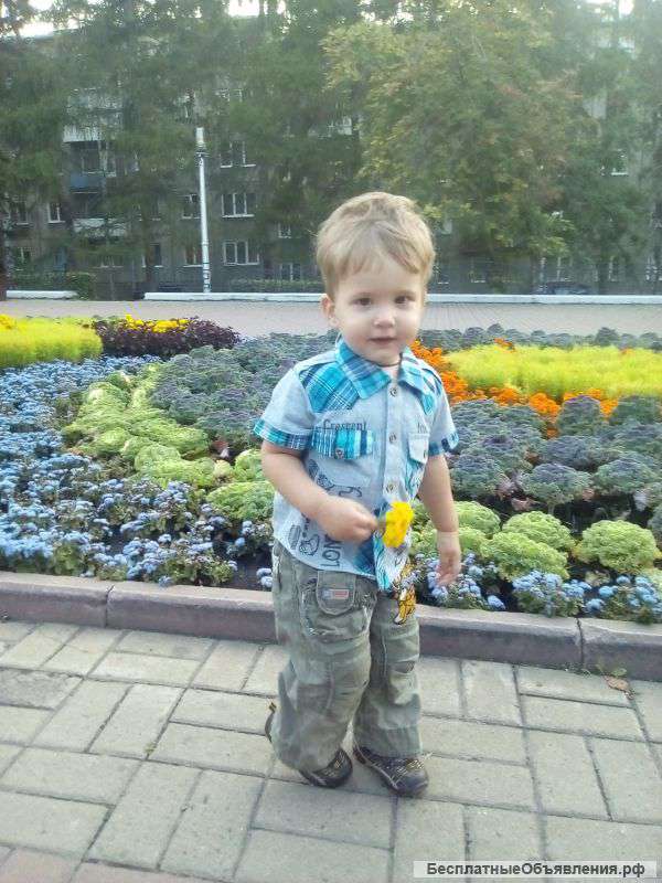 Няня для мальчика 2 лет