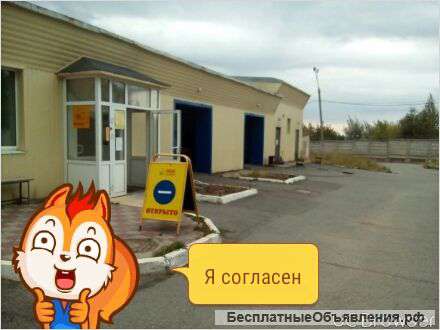 Мойщики авто