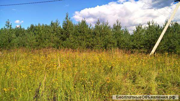 50 соток в д. Илькино