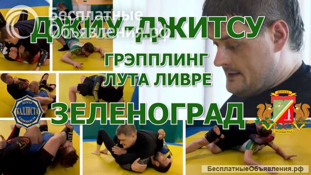 Зеленоград. Заниматься джиу-джитсу, грэпплинг и другие направления.