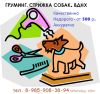 Груминг. Стрижка собак. ВДНХ