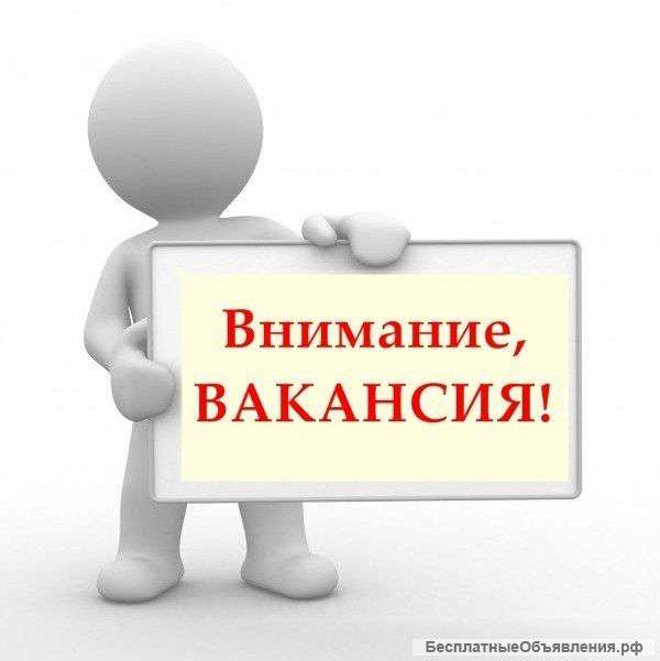 Продавец-консультант