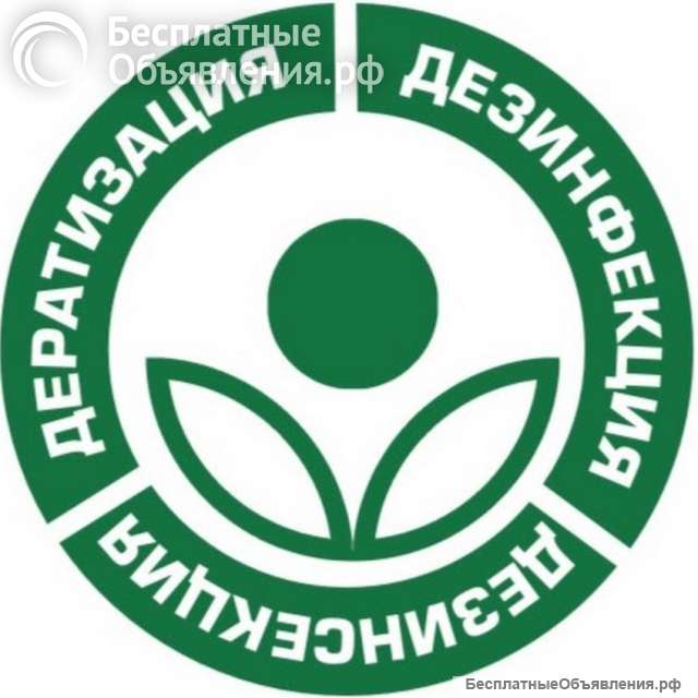 Клопы, тараканы, блохи, муравьи - как вывести