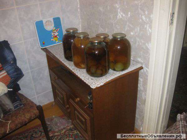 Настойку из гриба веселка