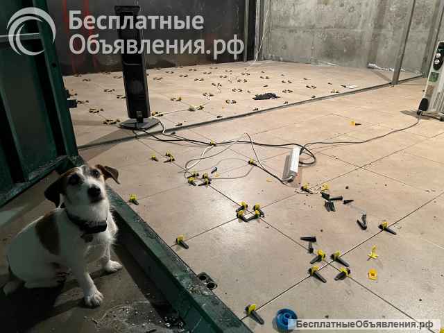 Смесь клеевая для блоков Бонолит