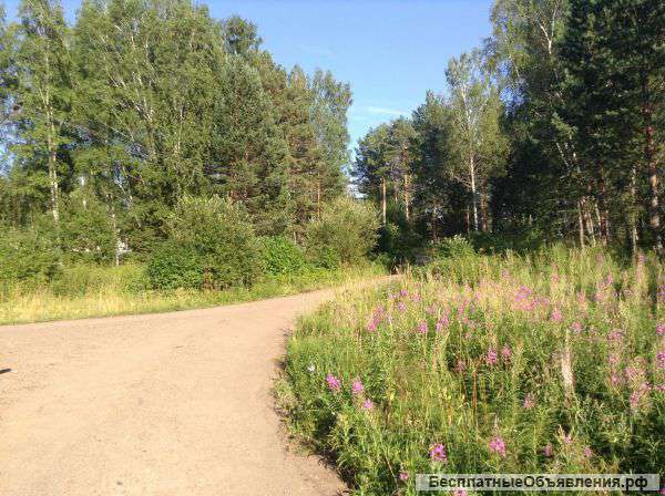 Земельный участок в лесном месте