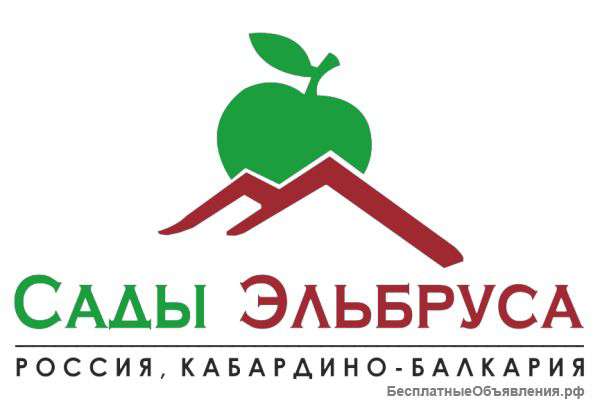 Энтомолог с опытом именно в этой специализации
