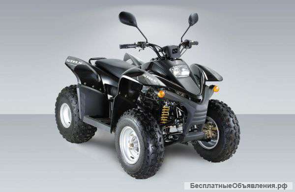 Стелс Stels ATV 100RS