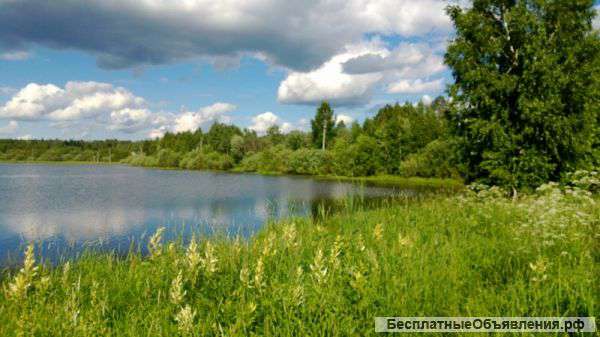 Земельный участок 3 га