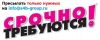 Менеджер отдела Сопровождения