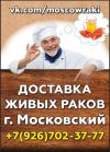 Живые раки (доставка)