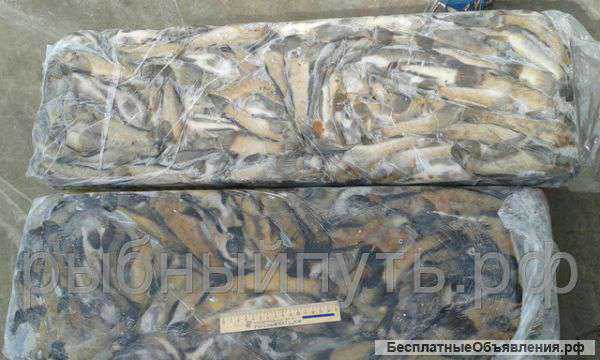 Мясо рапаны хамса анчоус бычок оптом в Керчи