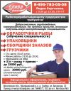 Ищем сотрудников