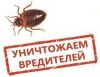 Уничтожение насекомых