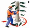 Пилю  деревья, обрезаю ветви,  выкорчевываю  пни.