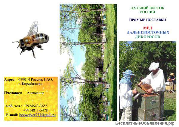 Дальневосточный мёд лип оптом