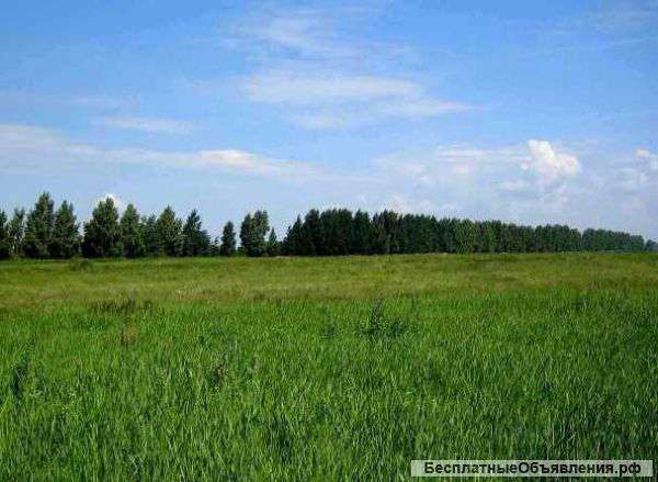 Участок 3га,с/х, 1800000р