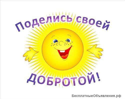 Детский Центр "Особый Ребенок"