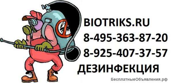 Дезинфектор