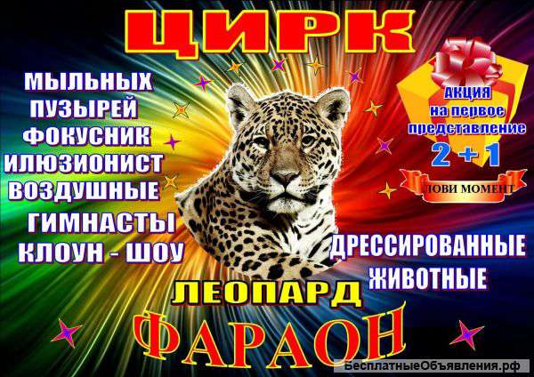 Цирк шапито Фараон в г. Волоколамск