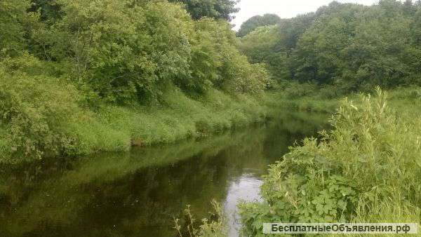 Участок у реки в Черёхе