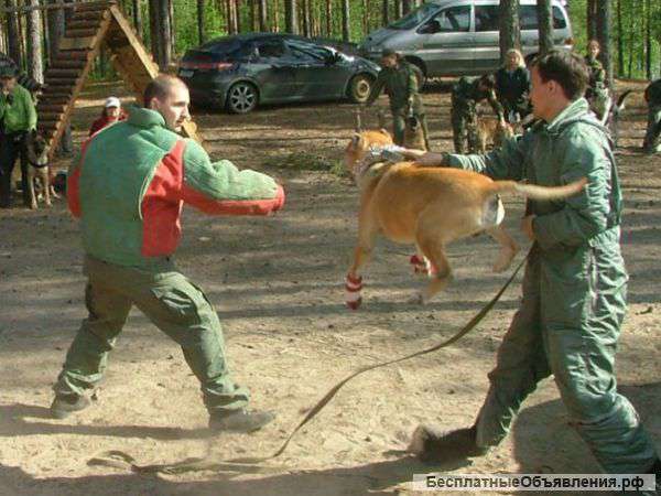 Зогостиница для собак в Красном Селе