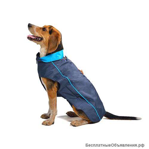 Зоотовары для ваших питомцев