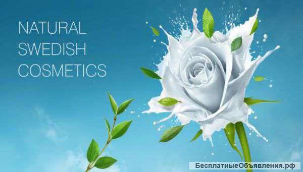 Администратор