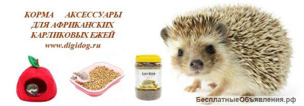 Зоотовары интернет-магазин Дигидог