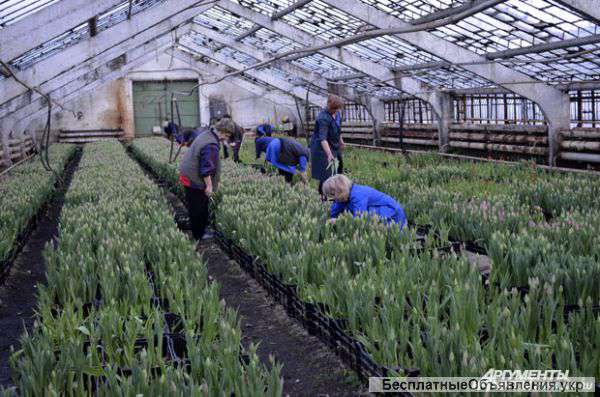 Работа. Требуется помощник по хозяйству с проживанием