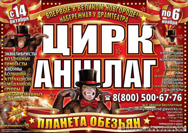 Цирк Аншлаг в Великом Новгороде