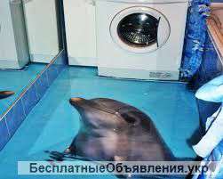 Промышленные полы .Наливные декоративные 3д полы.