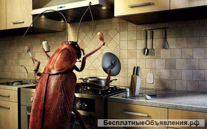 Дезинфекция
