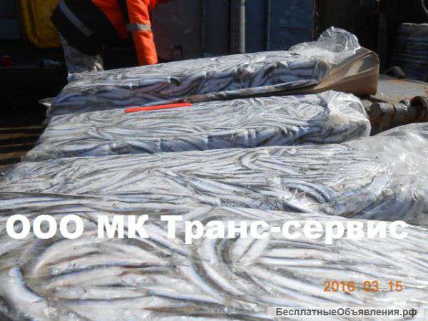 Хамсу анчоус кильку шпрот ставриду оптом в Крыму Качество 100%