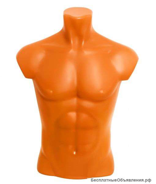 Торс мужской diman небьющийся пластик