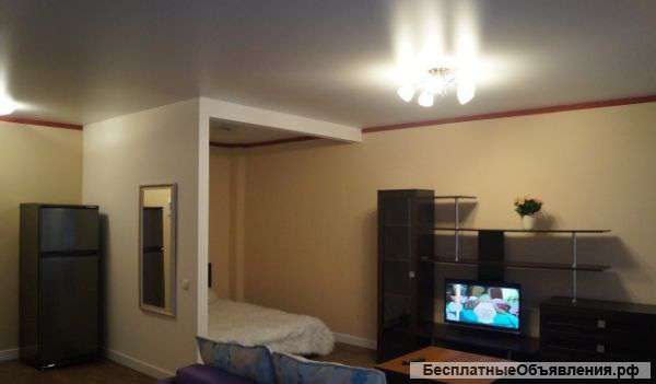 Однокомнатная квартира на Правды 39/2