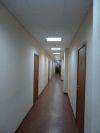 Сдаю в аренду офис. м.ВДНХ