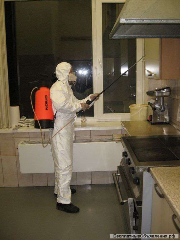 Уничтожение клопов , тараканов ,блох и муравьев