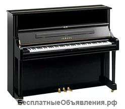 Настройка фортепиано