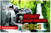 Прокат квадроциклов и багги