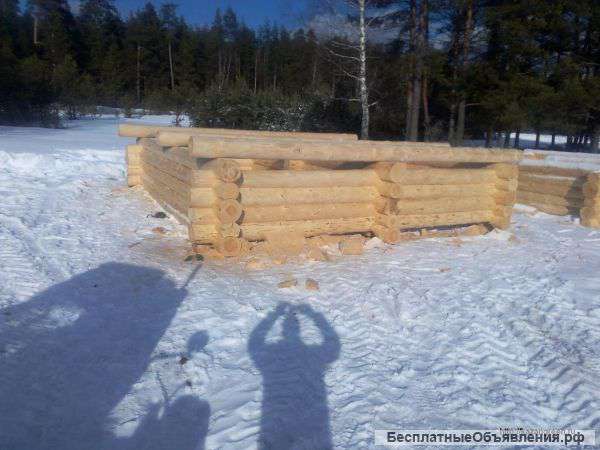 Срубы для дома и бани - АКЦИЯ