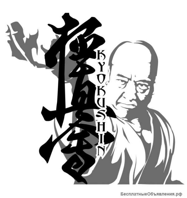 Каратэ kyokushinkai для вас у вас дома