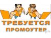 Промоутер-распространитель