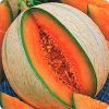 Семена 17 сортов дыни на любой вкус и климат для выращивания