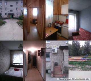 В кирпичном доме квартира двухкомнатная 47.6 м2. Рядом лес, река