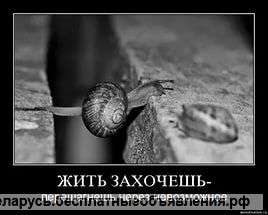 Требуется работник