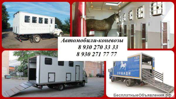 Производство автомобилей для перевозки лошадей (коневозка) на шасси ГАЗ, КАМАЗ, Hyundai
