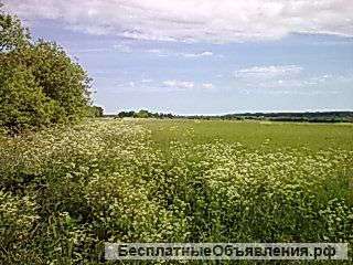 Участок 118,5 га Раменки и Ко