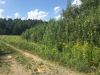 Участок 6,6 соток в поселке Уютный